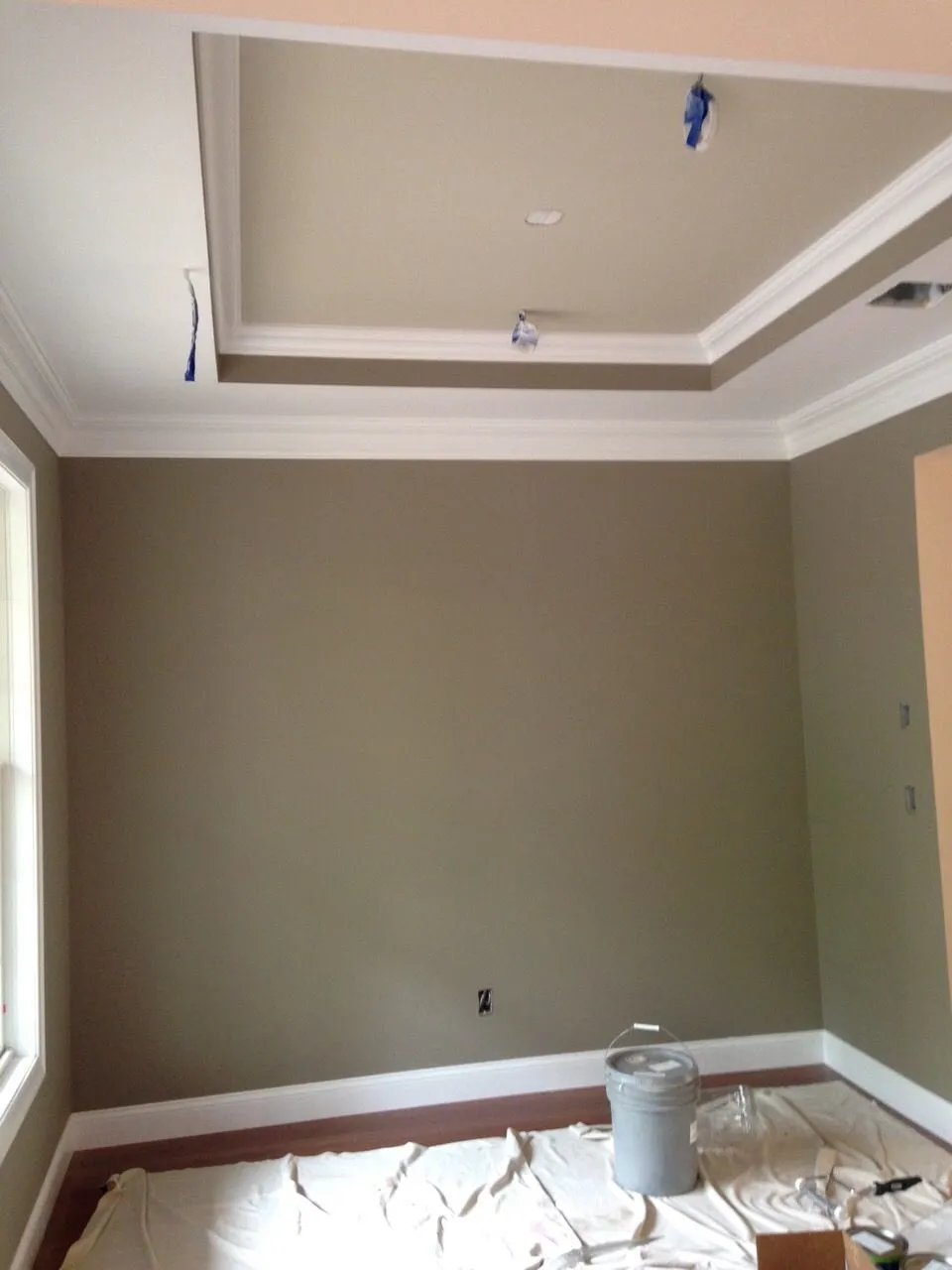 Empty room with tray ceiling, white trim, and painter’s drop cloth on the floor.